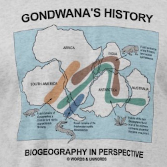Gondwanas historische Biogeographie in Perspektive T-Shirt (Biogeographers and historians will enjoy this "Gondwana's History Biogeography In Perspective" tee)