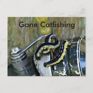 Gone Catalpa Worms Old Reel Postkarte