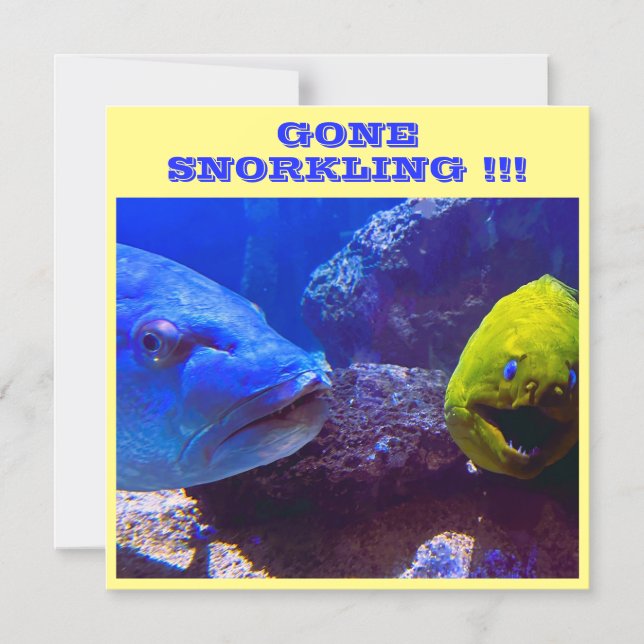 GONE SNORKLING CRUISE SHIP Tor MAGNET (Vorderseite)