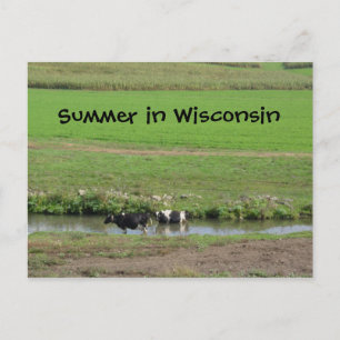 Gone Swimmin' Postkarte