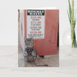 Gonna Cost you cat Notecard Ankündigung