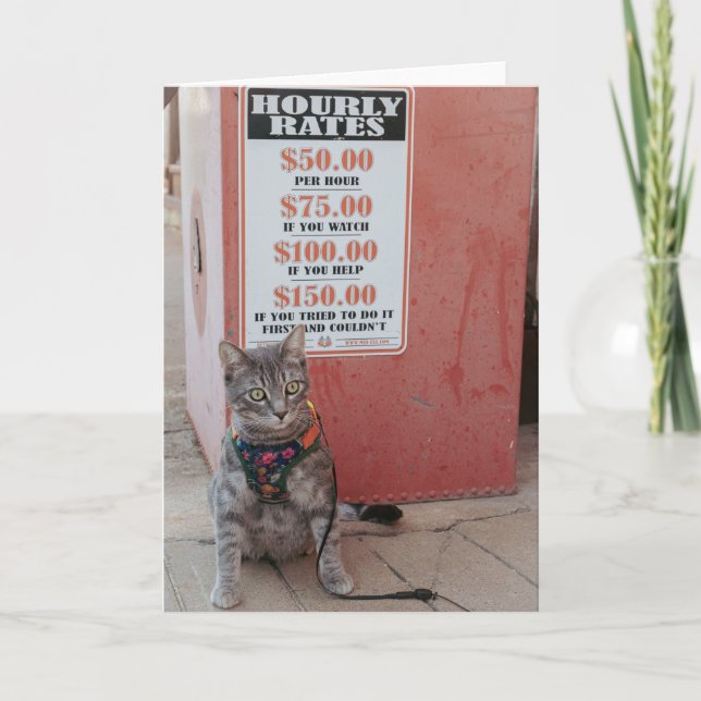 Gonna Cost you cat Notecard Ankündigung (Vorderseite)