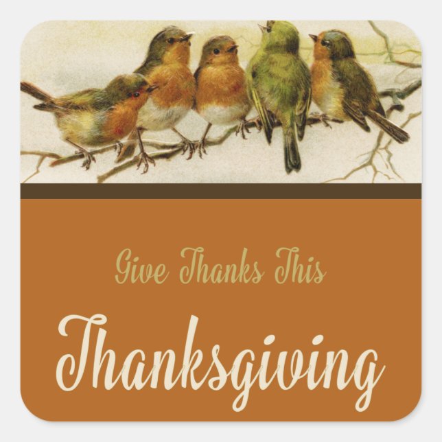 Gönnen Sie sich ein Dankeschön an Vögel Quadratischer Aufkleber (Vorderseite)