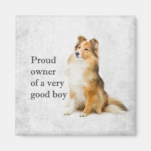 Good Boy Sheltie Magnet (Vorne)