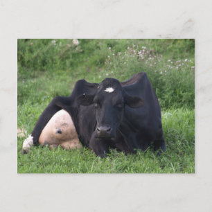 Good Moarning WI Postkarte