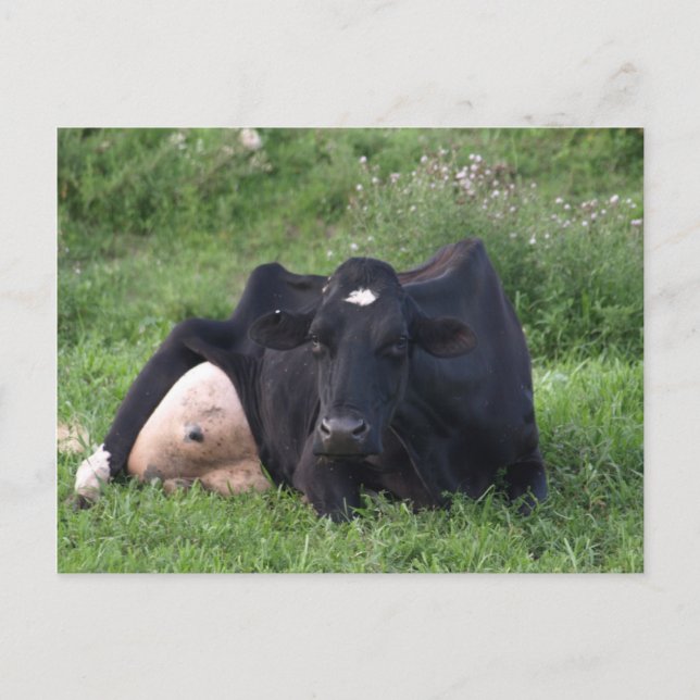 Good Moarning WI Postkarte (Vorderseite)