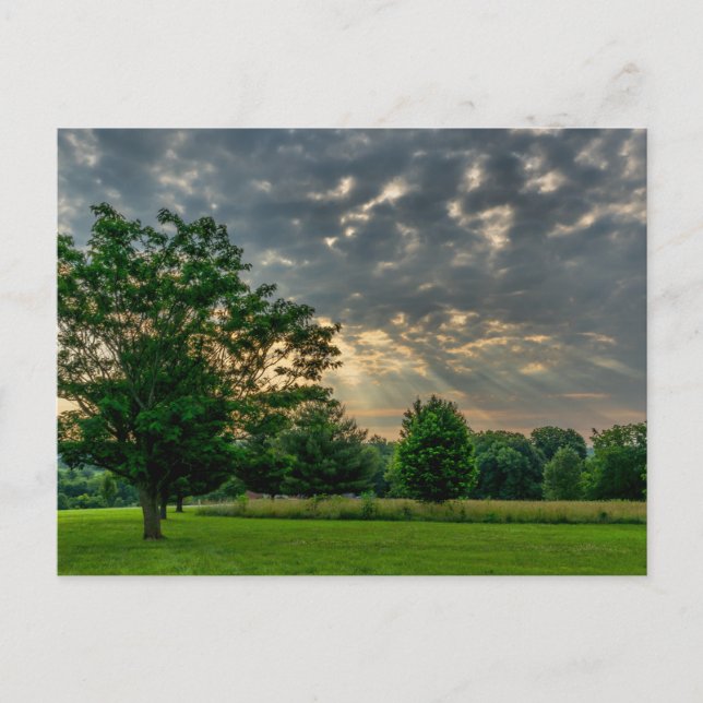 Good Morning Ozark Postcard Postkarte (Vorderseite)