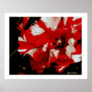 Good Morning Starshine von Linda Becker Poster