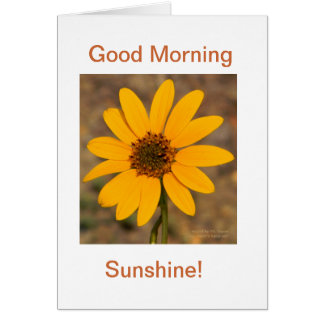 Good Morning, Sunshine!