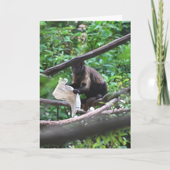 Good News Monkey sagt Herzlichen Glückwunsch Karte (Vorderseite)