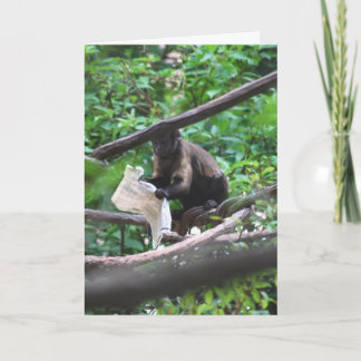 Good News Monkey sagt Herzlichen Glückwunsch Karte