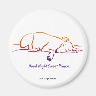 Good Night Sweet Prince magnets Magnet