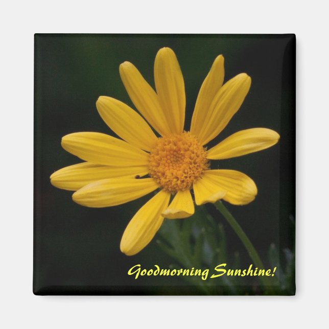 Goodam Sunshine Magnet (Vorne)