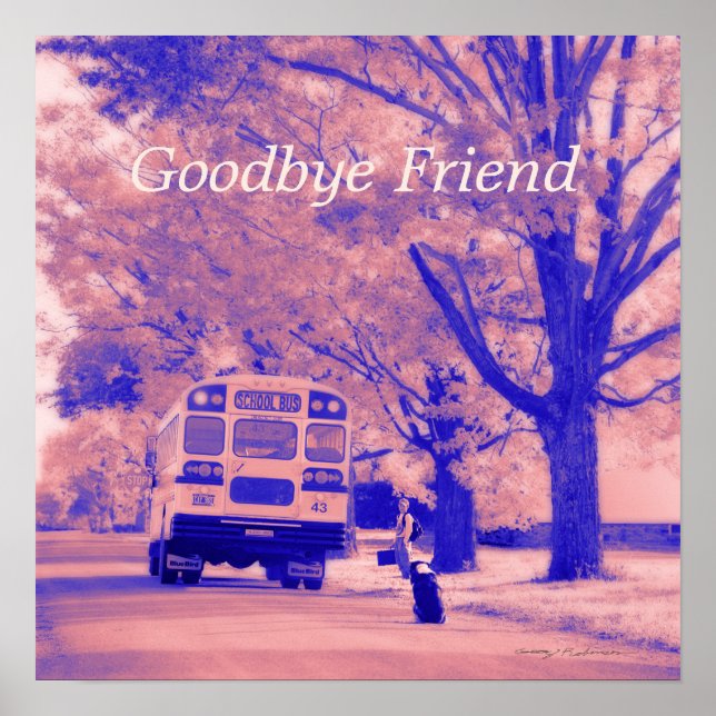 Goodbye Friend Value Poster Paper (Matte) (Vorne)