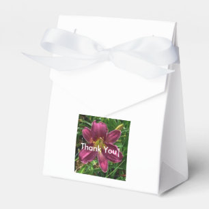 Goodie Kasten Geschenkschachtel