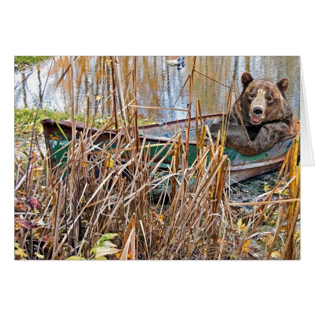 Goofy Bear (Vorderseite (Horizontal))