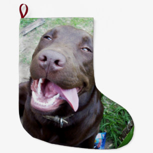 Goofy Delights: Chocolate Brauner Labrador-Welpe, Großer Weihnachtsstrumpf