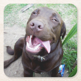 Goofy Delights: Chocolate Brown Labrador Puppy, Rechteckiger Pappuntersetzer