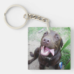 Goofy Delights: Chocolate Brown Labrador Puppy, Schlüsselanhänger