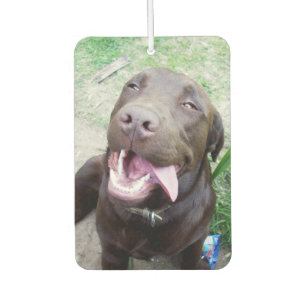 Goofy Delights: Schokoladenbrauner Labrador-Welpe, Autolufterfrischer
