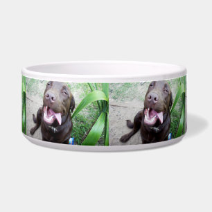Goofy Delights: Schokoladenbrauner Labrador-Welpe, Napf