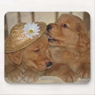 Goofy Golden Retriever Welpen Mousepad