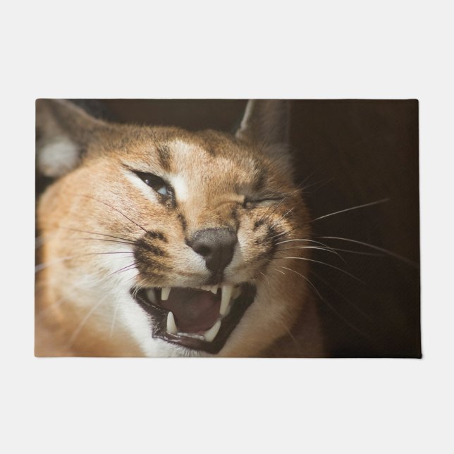 Goofy Lynx Fußmatte (Vorderseite)