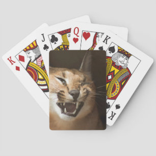 Goofy Lynx Spielkarten