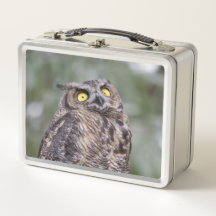 Goofy Owl Metal Lunchbox