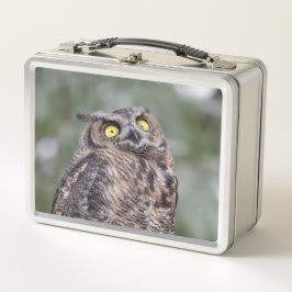 Goofy Owl Metal Lunchbox