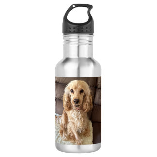 Goofy Puppy Dose Wasserflasche