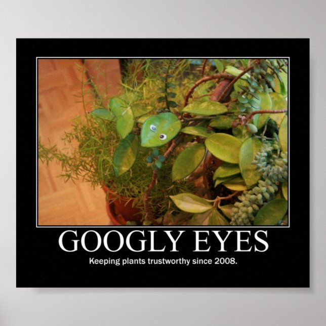 Googly Eyes Poster (Vorne)