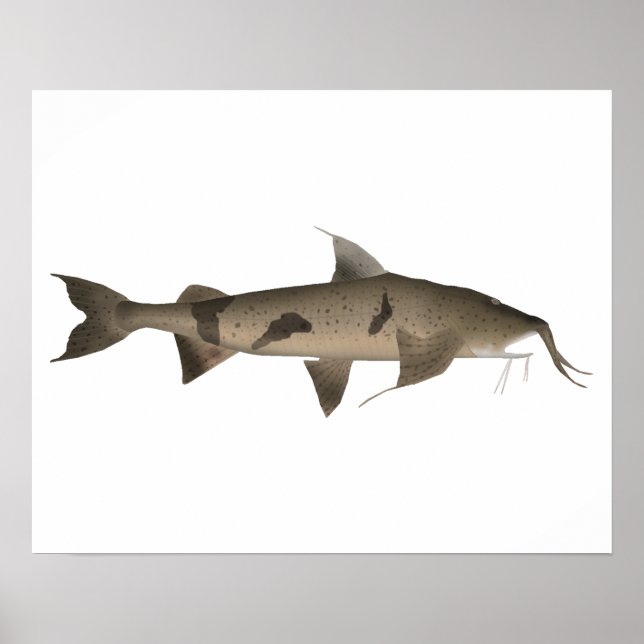 Goonch Poster (Vorne)