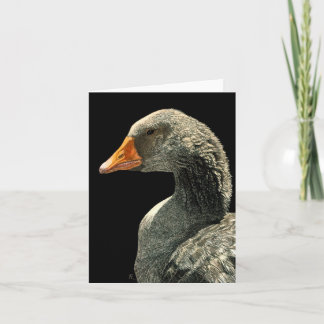 Goose Card - "Lucy" Karte