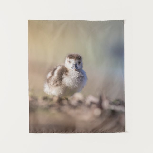 Goose Chick Nature Foto Wandteppich (Vorderseite)
