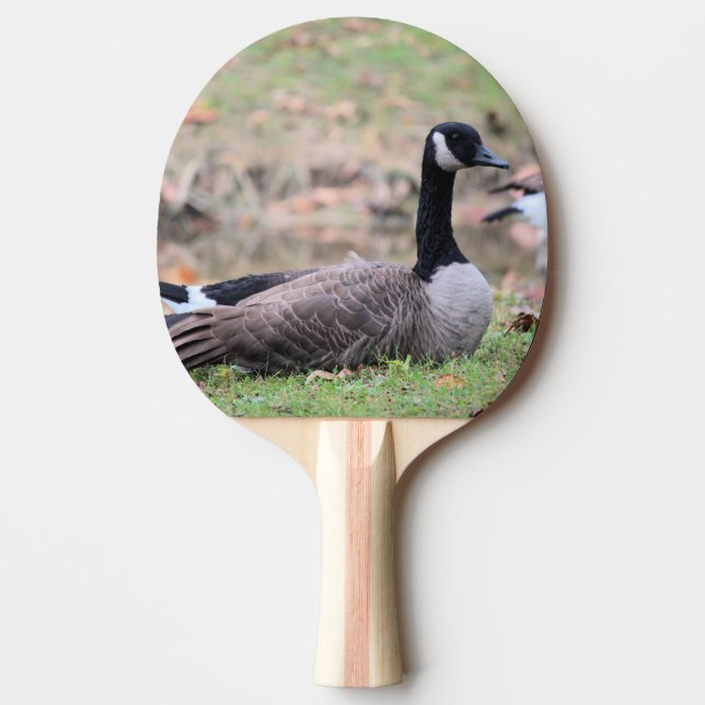 Goose Ping Pong Paddle Tischtennis Schläger (Vorderseite)
