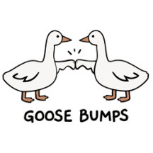 Goose pumps