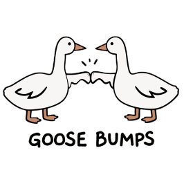 Goose pumps  poster