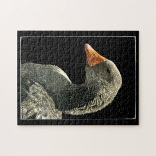 Goose Puzzle - "Lucy"