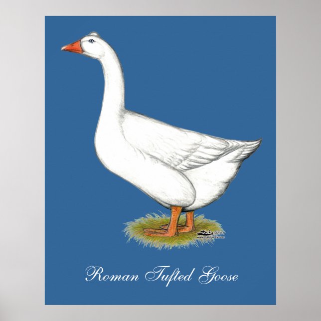 Goose Roman Tufted Poster (Vorne)