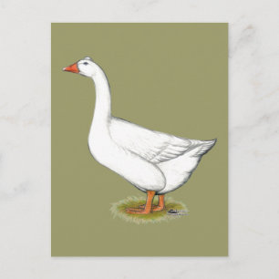 Goose Roman Tufted Postkarte