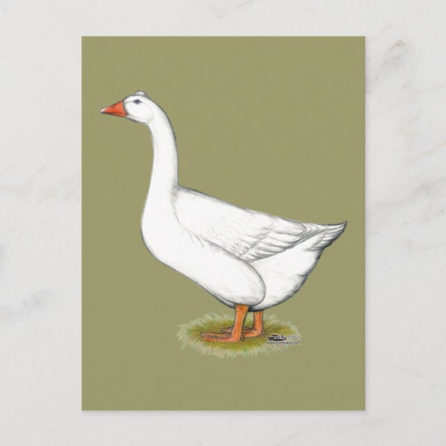 Goose Roman Tufted Postkarte (Vorderseite)