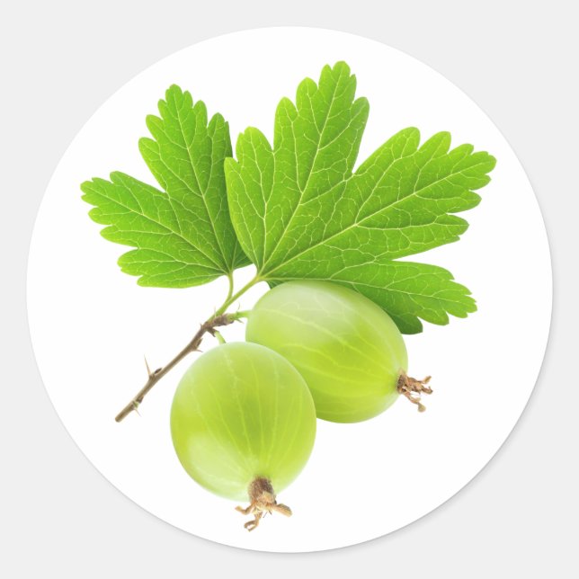 Gooseberries Runder Aufkleber (Vorderseite)