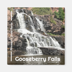 Gooseberry Falls Staat Park Magnet