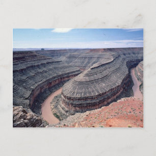 Goosenecks Staat Park, Utah, USA Postkarte
