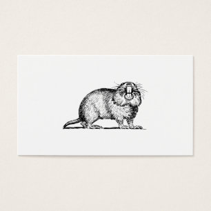 Gopher