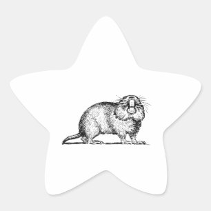 Gopher Stern-Aufkleber