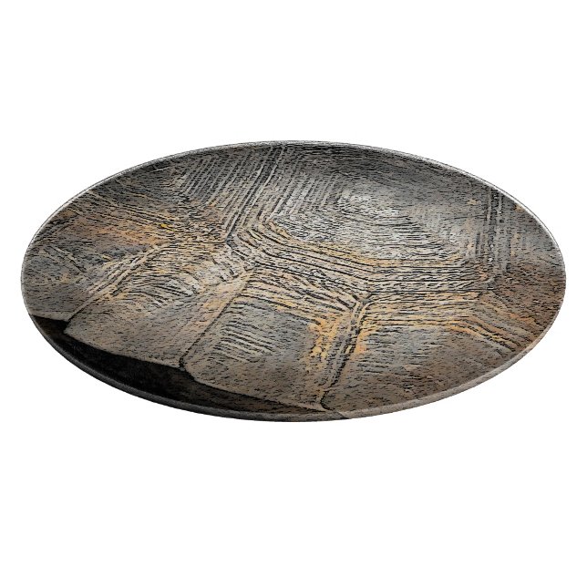 Gopher Tortoise Muschel Design Schneidebrett (Ecke)