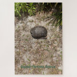 Gopher Tortoise Rescue - leise Rätsel Puzzle<br><div class="desc">Nehmen Sie sich einen Augenblick Zeit, um sich mit der Natur zu verbinden, durch diese friedliche und herzliche Szene, die in den sandigen Weiden Floridas gefangen ist. Gopher Tortoise Rescue by Quiet Ember Puzzles bietet eine Begegnung im wahrsten Leben mit einer einheimischen Gopher-Schildkröte - einer Schlüsselart der südöstlichen Staaten. Diese...</div>