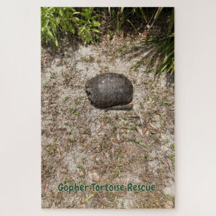 Gopher Tortoise Rescue - leise Rätsel Puzzle